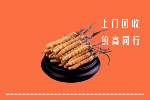 高价求购：中山南头镇回收散虫草