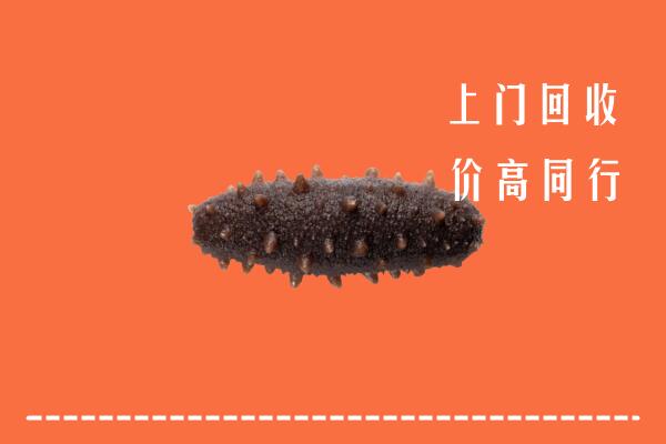高价求购：中山南头镇回收海参