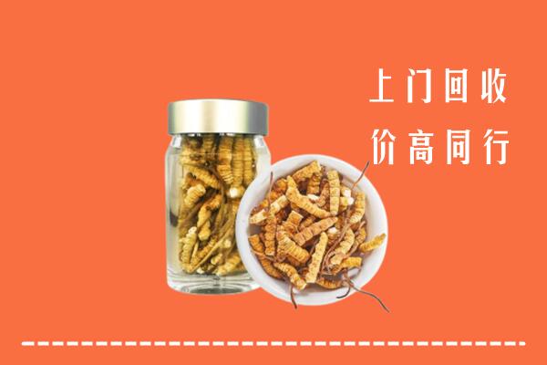 中山南头镇回收冬虫夏草