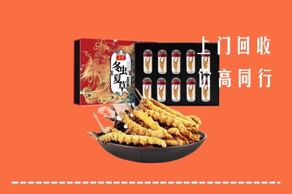 中山南头镇回收虫草